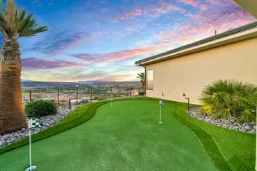 Synthetic Turf and Putting Greens